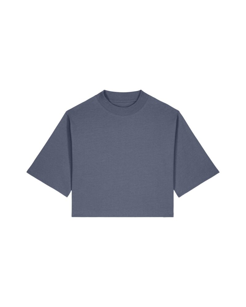 Stanley/Stella Stella Raya t-shirts blue grey
