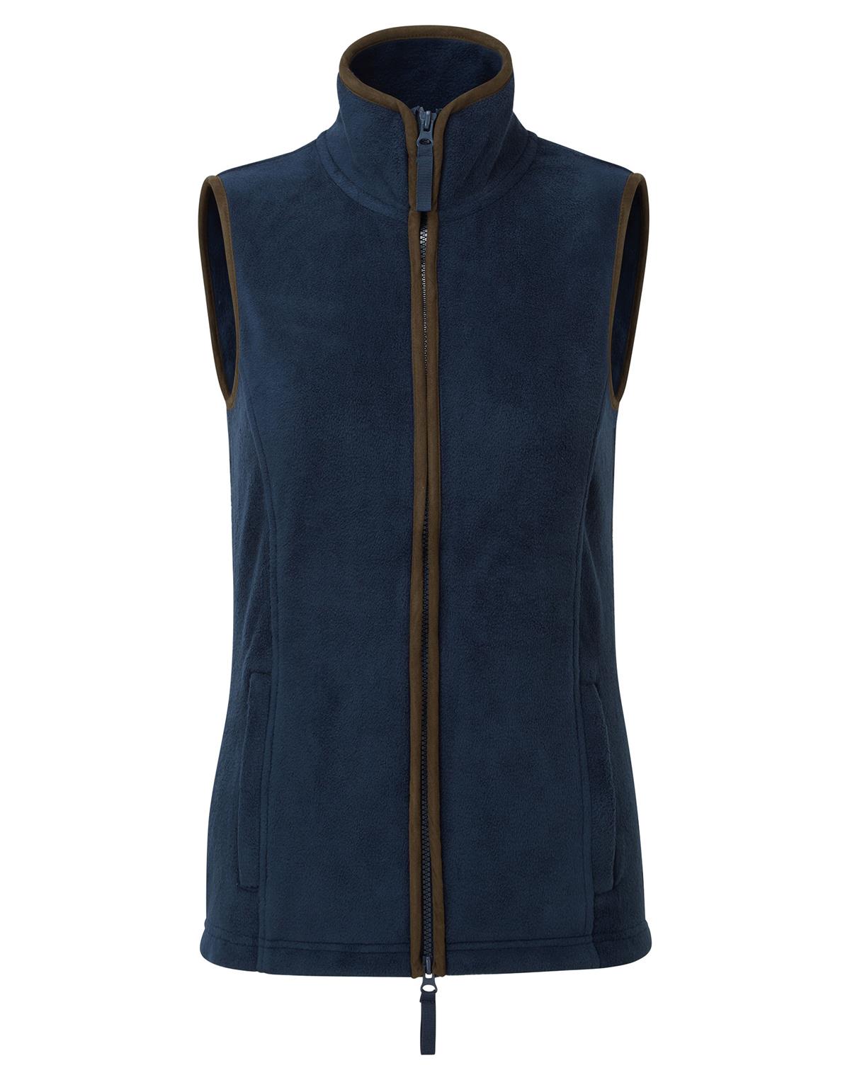 navy-bruin
