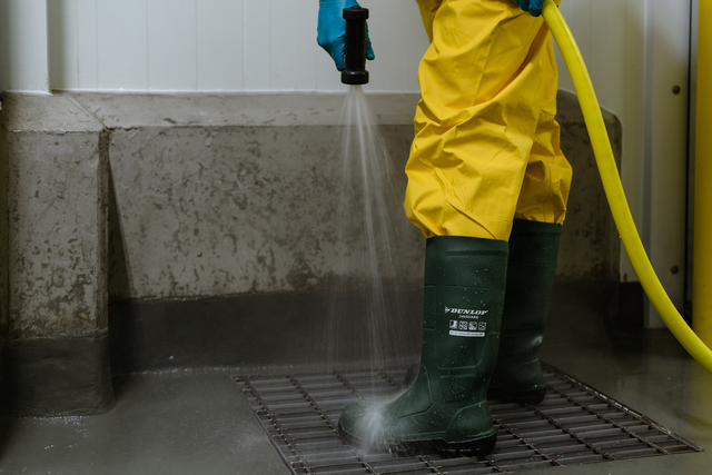 Dunlop Werklaars JobGUARD S5 groen foto 7